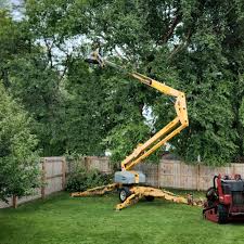 Best Firewood Processing and Delivery  in La Huerta, NM